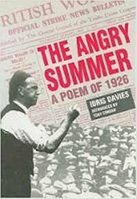 Enlarge image Cover: The Angry Summer - University of Wales Press