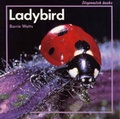 Cover: Ladybird - A & C Black (Childrens books)