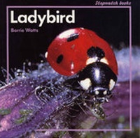 Enlarge image Cover: Ladybird - A & C Black (Childrens books)