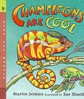 Cover: Chameleons Are Cool - Walker Books Ltd