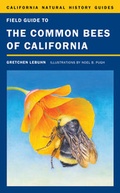 Cover: Field Guide to the Common Bees of California - University of California Press