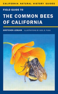 Enlarge image Cover: Field Guide to the Common Bees of California - University of California Press