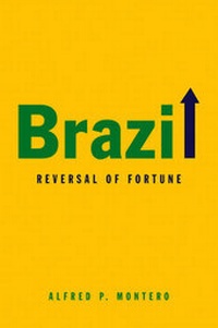 Abbildung von: Brazil - Polity Press