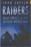 Cover: Raiders - The History Press Ltd