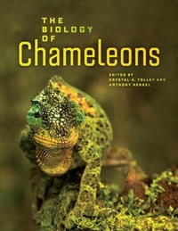 Abbildung von: The Biology of Chameleons - University of California Press