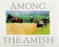 Cover: Among the Amish - Courage Books,U.S.