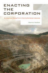 Abbildung von: Enacting the Corporation - University of California Press