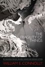 Cover: The Fragility of Things - De Gruyter