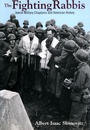 Cover: The Fighting Rabbis - New York University Press