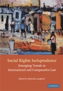 Cover: Social Rights Jurisprudence - Cambridge University Press