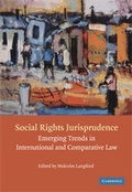 Cover: Social Rights Jurisprudence - Cambridge University Press