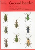Cover: Ground beetles - Richmond Publishing Co Ltd