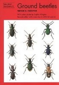 Abbildung von: Ground beetles - Richmond Publishing Co Ltd