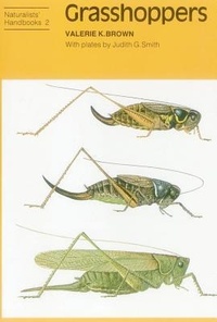 Abbildung von: Grasshoppers - Richmond Publishing Co Ltd