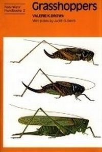 Abbildung von: Grasshoppers - Richmond Publishing Co Ltd