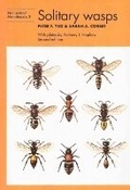 Cover: Solitary wasps - Richmond Publishing Co Ltd