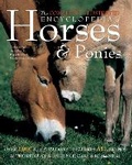 Cover: The Complete Illustrated Encyclopedia of Horses & Ponies - Flame Tree Publishing
