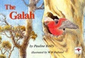 Cover: The Galah - Bristlebird Books