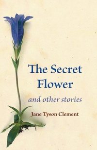 Enlarge image Cover: The Secret Flower - Plough Publishing House