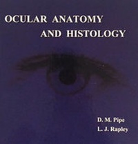 Abbildung von: Ocular Anatomy and Histology - ABDO College of Education