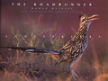 Cover: The Roadrunner - Texas Tech Press,U.S.