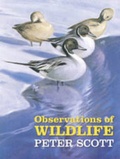 Cover: Observations of Wildlife - The Wildfowl & Wetlands Trust