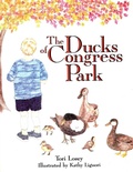 Cover: The Ducks Of Congress Park - North Country Books