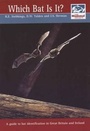 Cover: Which Bat is It? - Mammal Society