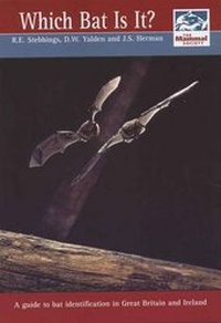 Enlarge image Cover: Which Bat is It? - Mammal Society