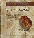 Cover: Falling Awake - Breakthrough Enterprises