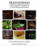 Cover: Grasshoppers and Allied Insects of Great Britain and Ireland - Harley Books