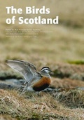 Cover: The Birds of Scotland - Scottish Ornithologists' Club