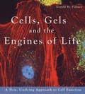 Cover: Cells, Gels and the Engines of Life - Ebner and Sons Publishers