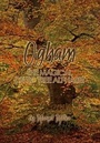 Cover: Ogham - the Magical Celtic Tree Alphabet - Margot Miller