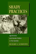 Cover: Shady Practices - Naval Institute Press