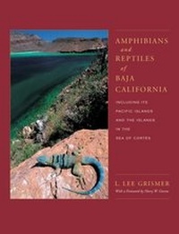Abbildung von: Amphibians and Reptiles of Baja California, Including Its Pacific Islands and the Islands in the Sea of Cortes - University of California Press