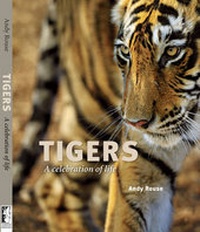 Enlarge image Cover: Tigers - Electric Squirrel Publishing