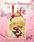 Cover: The Last Adventure of Life - Bridge to Dreams