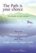 Cover: The Path is Your Choice - Fillayson Publishing