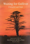 Cover: Waiting for Gulliver - Caradoc Publications