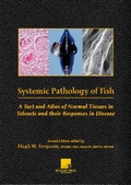 Bild: Systemic Pathology of Fish - Scotian Press
