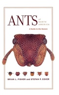Cover: Ants of North America - Naval Institute Press
