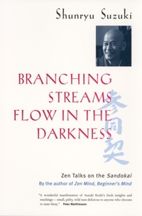 Enlarge image Cover: Branching Streams Flow in the Darkness - Naval Institute Press