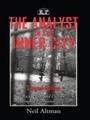 Cover: The Analyst in the Inner City - Routledge