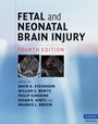 Cover: Fetal and Neonatal Brain Injury - Cambridge University Press