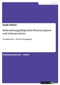 Cover: Heilerziehungspflegerische Prozesse planen und dokumentieren - GRIN Verlag