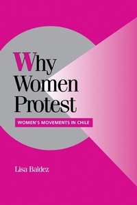 Enlarge image Cover: Why Women Protest - Cambridge University Press