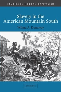 Abbildung von: Slavery in the American Mountain South - Cambridge University Press