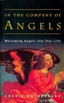 Cover: In the Company of Angels - Gill Books