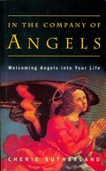 Cover: In the Company of Angels - Gill Books